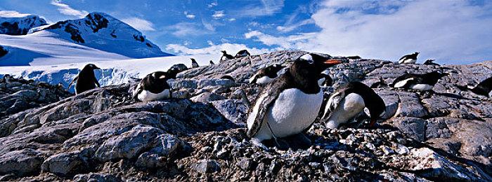 《无主之地4》开发已有6年 预算超前代两倍！